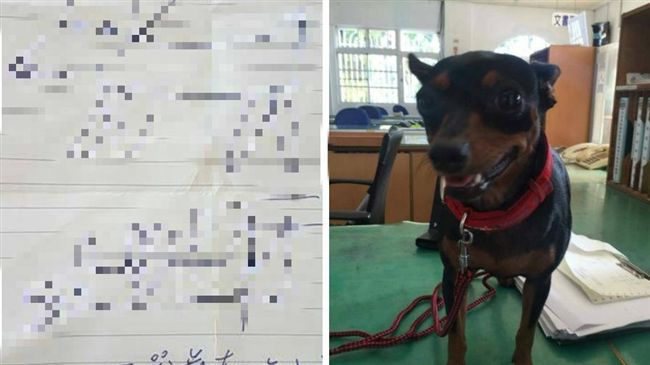 飼主手繪特徵圖　警2千秒內尋回失犬