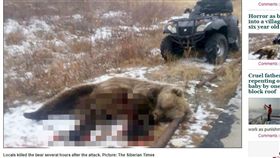  俄羅斯,棕熊,射殺（圖／翻攝自《西伯利亞時報》） http://siberiantimes.com/other/others/news/horror-as-brown-bear-walks-into-a-village-and-grabs-one-of-six-year-old-twins/