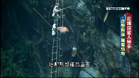 尼國採蜜人秘辛