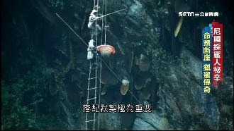 懸崖上的甜蜜！尼泊爾人「以命換蜜」