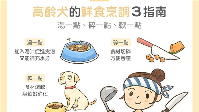 老狗沒食慾？高齡犬鮮食烹調3指南