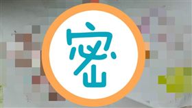 畫畫,爸爸,陽具,胎內記憶,畫圖／報廢公社