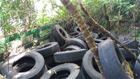 清水斷崖變調！不肖業者棄置廢棄輪胎　數量竟高達上百個
圖／保七總隊第九大隊提供