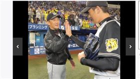 ▲38歲左投能見篤史（右）演出完投勝帶領阪神虎挺進季後賽，監督金本知憲迎接他。（圖／截自日本媒體）