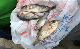 國際,墨西哥,下雨,氣象,水龍捲,奇景