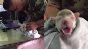 泰國軍人救起溺水小狗。（圖／翻攝自Tongchana Paeloy臉書）