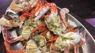 今年萬里蟹產量大　挑蟹秘技是摸這裡