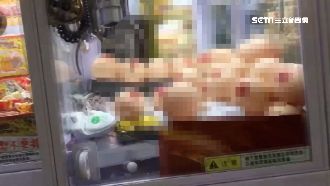 胸部任人夾！18禁娃娃機民憂太超過