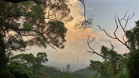 北部入夜秋意浮現受東北風影響台灣北部白天氣溫稍降，但台北市區仍感受不到明顯秋意，到了傍晚氣溫下降較明顯，北市近郊山區秋意明顯浮現。中央社記者王飛華攝　106年9月29日