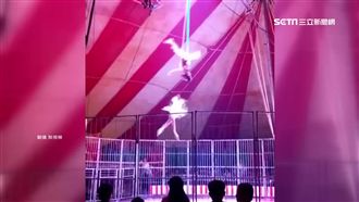 14歲雜技少女失手　空中極速墜地