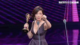 柯淑勤 .金鐘獎