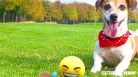 獵豹移動發行、雪豹科技開發的全新AR拍照應用《ARCam》正式上架