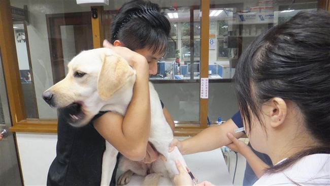 動物救援業務由新北動保處全面接手！