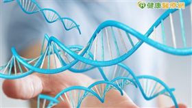 因檢測＋影像檢查　乳癌無所遁形