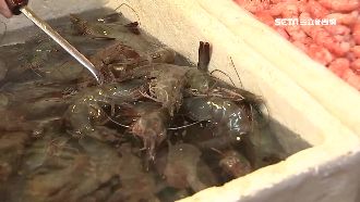 中秋烤肉荷包哭哭　海鮮平均上漲1成