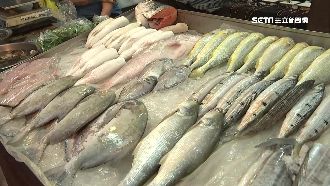 台灣1海鮮進軍澳洲！20呎冷凍貨櫃出口