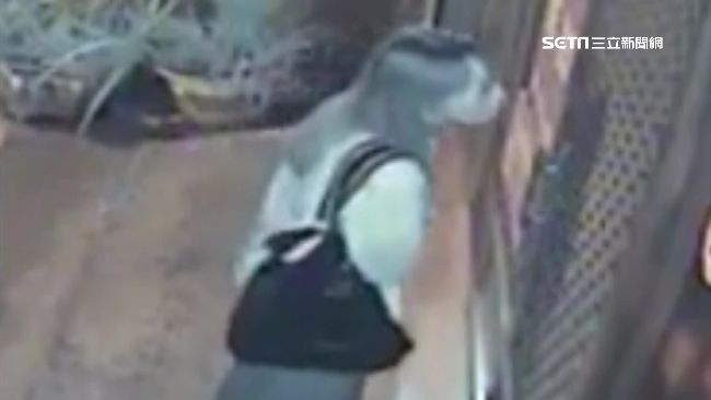 潛入民宅偷竊　女賊五官神似蕭亞軒