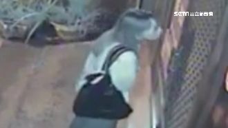 潛入民宅偷竊　女賊五官神似蕭亞軒