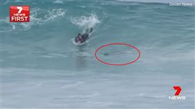 差點歸西…「鯊魚伴游」陪衝浪　澳洲男爽喊：太幸運啦！
圖／翻攝自English news YouTube
https://www.youtube.com/watch?v=VwIaRCNucAA