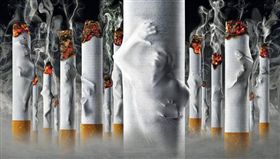 -抽菸-香菸-戒菸-菸品-（圖／翻攝自董氏基金會 菸害防制中心臉書）