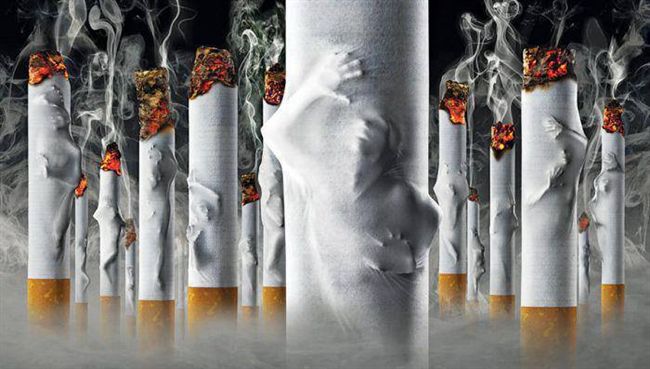 免稅菸管制　財部承諾：持續研議溯源