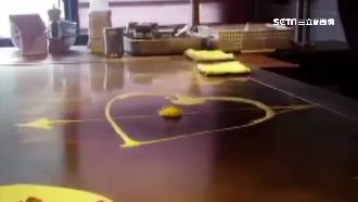 空拋旋轉跳躍！主廚神手煎「愛心蛋」