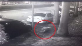 桃園　車禍　女騎士遭撞飛