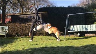 滿心期待帶狗狗運動　狗兒卻這樣回報