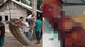 好恐怖…正義警衛大戰7公尺巨蟒　左手臂遭爆擊鮮血狂噴 圖／翻攝自Metro 