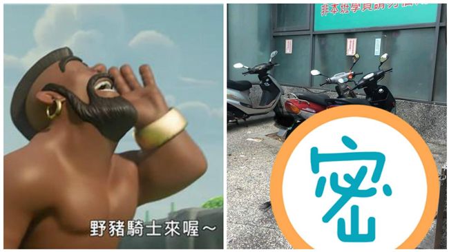 上課目睹這一幕　網友驚：野豬騎士！