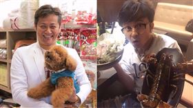 唐從聖,從從,徐乃麟,／翻攝自唐從聖、徐乃麟臉書