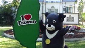 熊讚踢足球! 胖胖身驅踢不到超模樣可愛（熊讚,美國,華府,國慶,酒會,雙橡園）