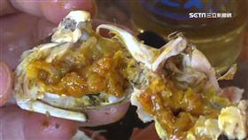 大閘蟹,泰國蝦,秋季,打牙祭,蟹膏,螃蟹