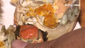 大閘蟹混養泰國蝦　老饕嚐鮮一箭雙鵰