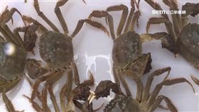 大閘蟹,泰國蝦,秋季,打牙祭,蟹膏,螃蟹