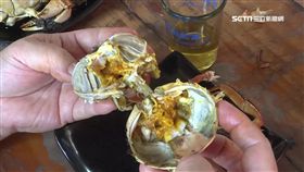 大閘蟹,泰國蝦,秋季,打牙祭,蟹膏,螃蟹