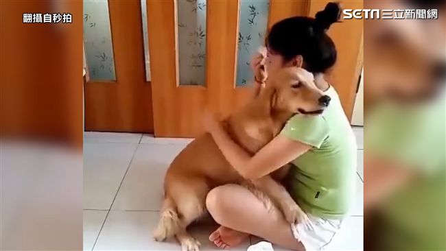 汪汪暖心舉動　主人養到真的值了！