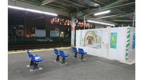 日本,東京,車站,自殺,自殘,預防措施,閘門　圖／翻攝自推特