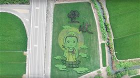 台南好米季。（圖／翻攝自https://youtu.be/sAkpSOutfI4）