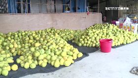 L訂柚不認帳0930