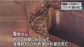日本,大黃蜂,攻擊,多重器官衰竭,蜜蜂,螫人,意外　圖／翻攝自YouTube