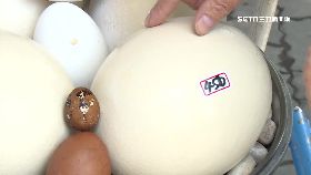 八卦都賣蛋18001