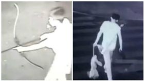 大陸,福建,虐狗,殺狗,弓箭（圖／翻攝自梨視頻）