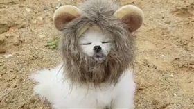 圖／翻攝thesoy_yoonso Instagram