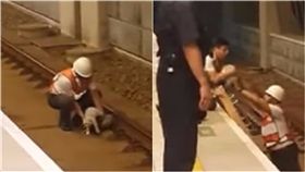 高鐵,台中站,貓,寵物,旅客,延誤,動物,緊急按鈕,斷電,籠子,鐵軌　圖／翻攝自YouTube影片 https://goo.gl/fxdUM1