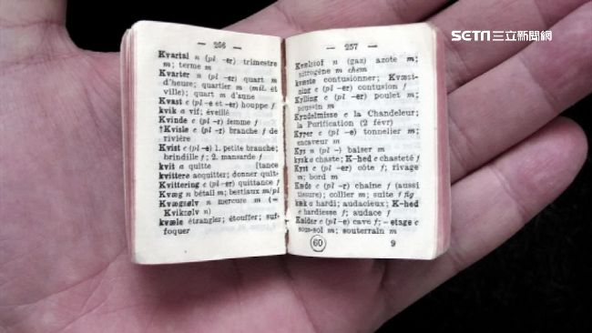 2025代表字「6-7」　字典編輯也不懂意思