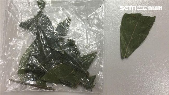 罕見海盜毒品曝光　嫌辯「那是艾草」