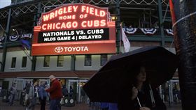 ▲小熊主場下雨。（圖／美聯社／達志影像）