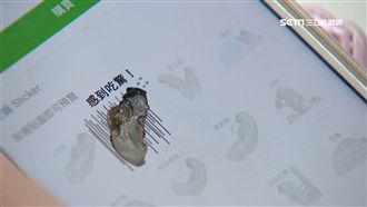 LINE貼圖廢到笑！網噴飯：誰會買