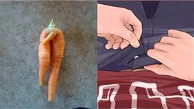 不舉,胡蘿蔔,老二,生殖器,雞雞,GG,陽痿,陰莖
圖翻攝自(flickr-Gary Koelling)、九點網